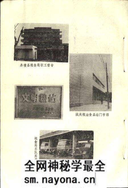 《丹棱县粮食志》.pdf电子版_四川省志预览图5 《丹棱县粮食志》.pdf电子版_四川省志预览图5