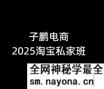 子鹏讲电商-淘宝私家班26年1月(价值4980元)