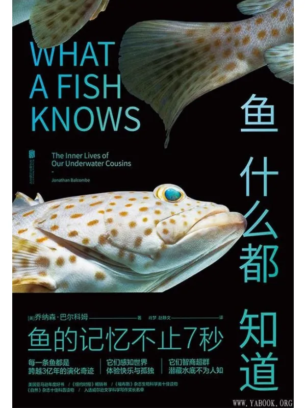 《鱼什么都知道》封面图片