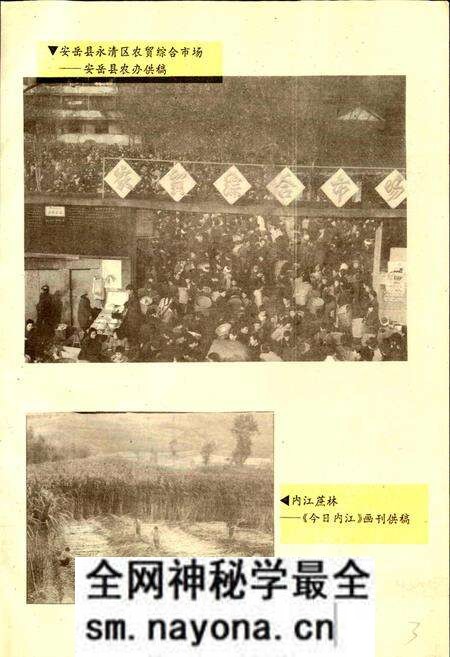 《内江地区农业经济志》.pdf电子版_四川省志预览图3