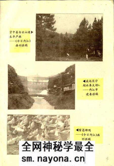 《内江地区农业经济志》.pdf电子版_四川省志预览图4
