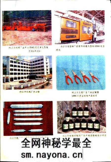 《内江地区二轻工业志》.pdf电子版_四川省志预览图4