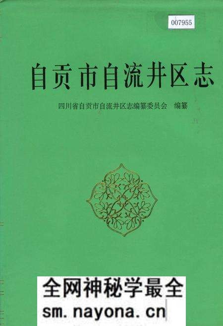 《自贡市自流井区志》.pdf电子版_四川省志预览图 《自贡市自流井区志》.pdf电子版_四川省志预览图