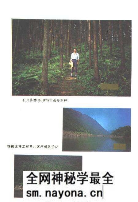 《珙县林业志》.pdf电子版_四川省志预览图5