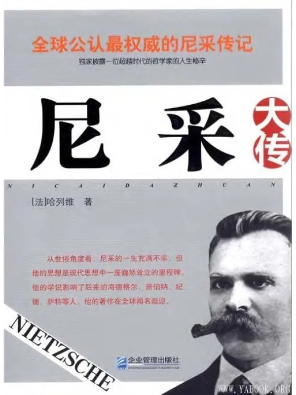 《尼采大传》封面图片