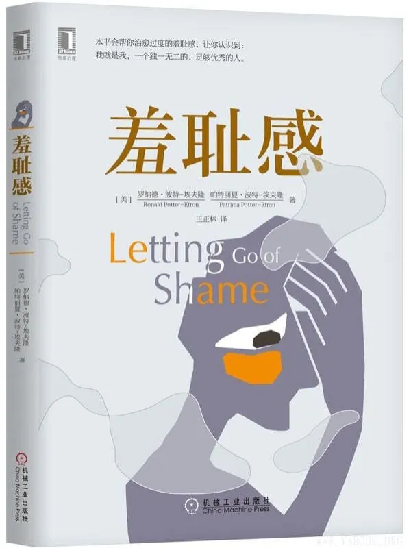 《羞耻感》封面图片