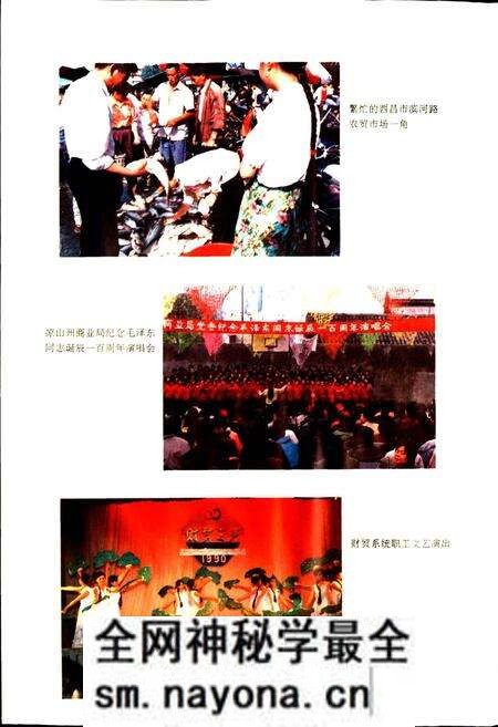 《凉山彝族自治州商贸志》.pdf电子版_四川省志预览图4 《凉山彝族自治州商贸志》.pdf电子版_四川省志预览图4