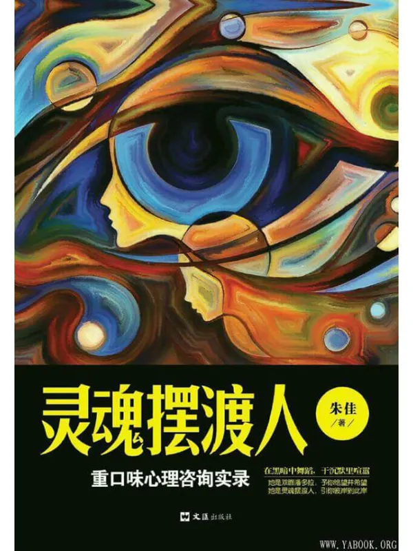 《灵魂摆渡人：重口味心理咨询实录》封面图片