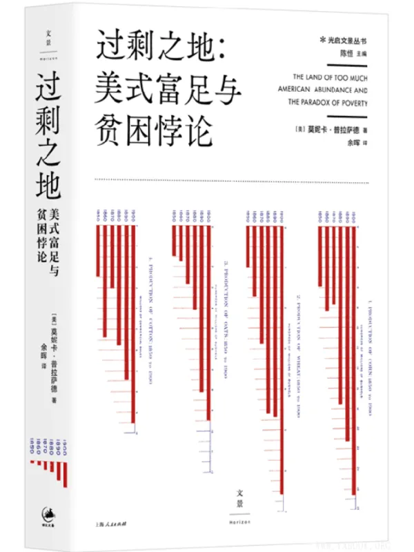 《过剩之地：美式富足与贫困悖论》封面图片