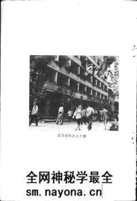 《巴中县供销合作志》.pdf电子版_四川省志预览图4 《巴中县供销合作志》.pdf电子版_四川省志预览图4
