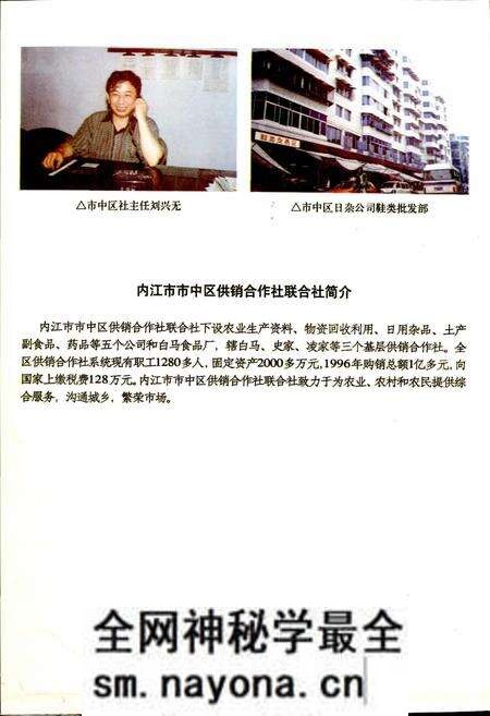 《内江地区供销合作志》.pdf电子版_四川省志预览图3