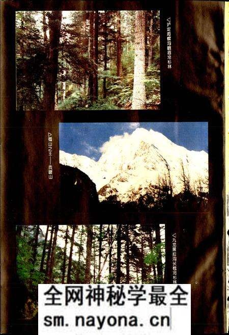 《甘孜藏族自治州林业志》.pdf电子版_四川省志预览图3 《甘孜藏族自治州林业志》.pdf电子版_四川省志预览图3