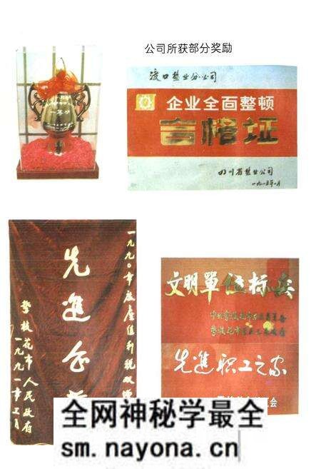 《攀枝花盐业志》.pdf电子版_四川省志预览图5 《攀枝花盐业志》.pdf电子版_四川省志预览图5