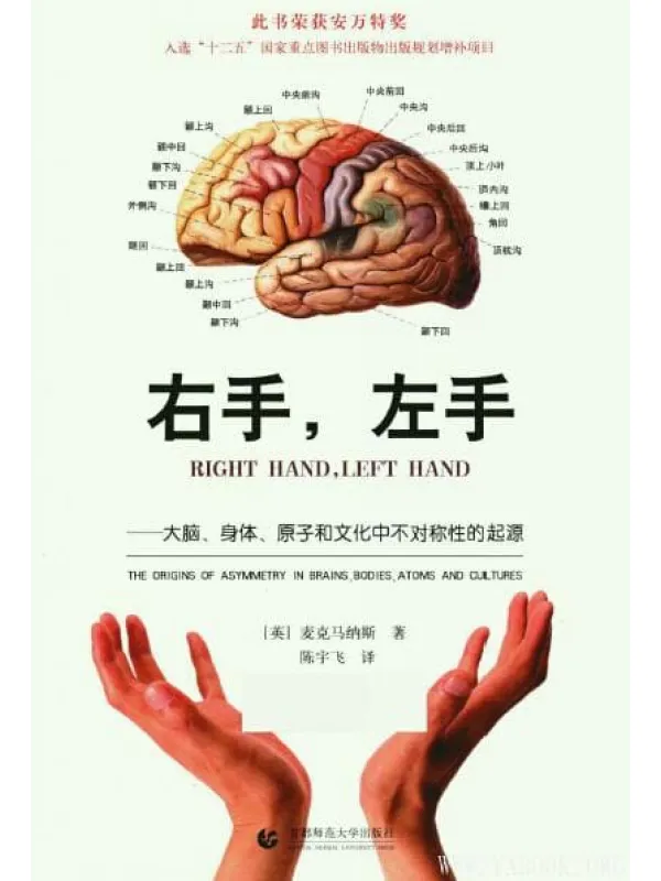 《右手，左手——大脑、身体、原子和文化中不对称性的起源》封面图片