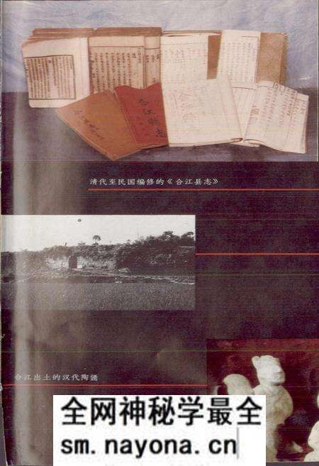 《合江县志》.pdf电子版_四川省志预览图5