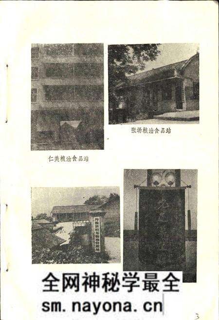 《丹棱县粮食志》.pdf电子版_四川省志预览图4 《丹棱县粮食志》.pdf电子版_四川省志预览图4