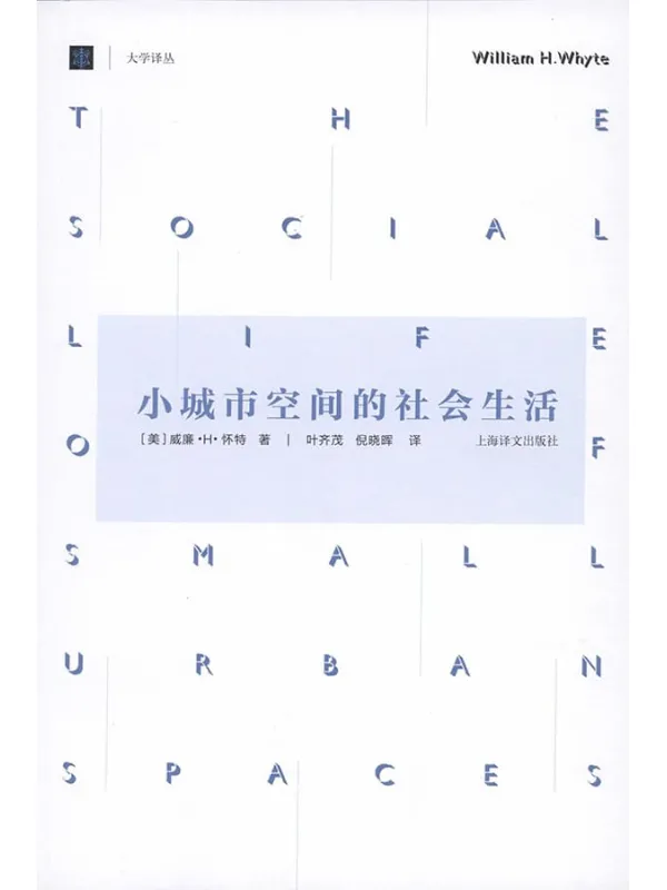 《小城市空间的社会生活》封面图片