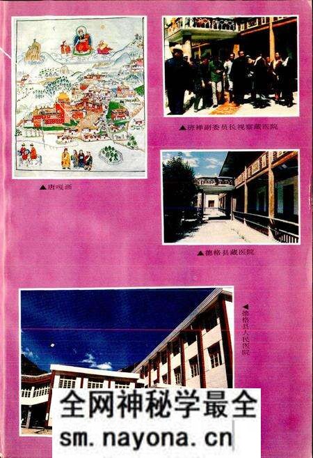 《德格县志》.pdf电子版_四川省志预览图4 《德格县志》.pdf电子版_四川省志预览图4