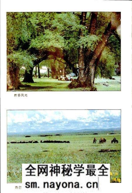 《若尔盖县计划经济志》.pdf电子版_四川省志预览图5 《若尔盖县计划经济志》.pdf电子版_四川省志预览图5