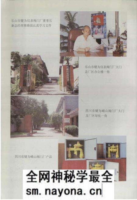 《犍为县乡镇企业志》.pdf电子版_四川省志预览图3 《犍为县乡镇企业志》.pdf电子版_四川省志预览图3