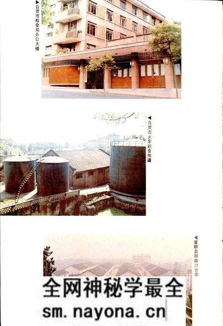 《自贡市粮食志》.pdf电子版_四川省志预览图5 《自贡市粮食志》.pdf电子版_四川省志预览图5
