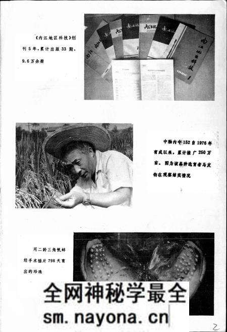 《内江地区科学技术志》.pdf电子版_四川省志预览图3 《内江地区科学技术志》.pdf电子版_四川省志预览图3