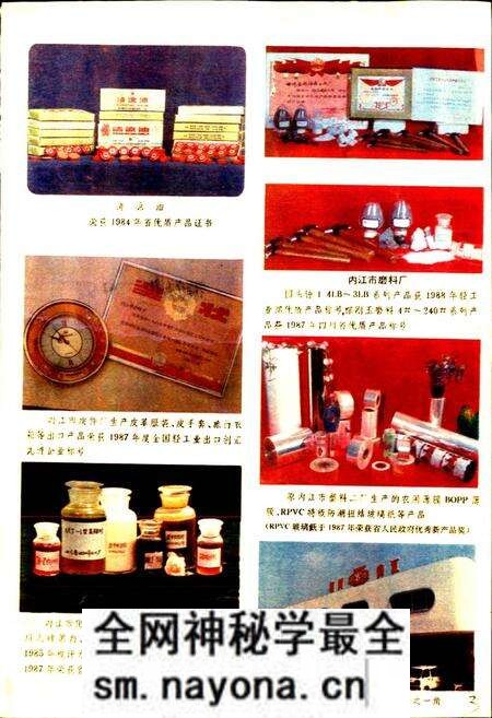《内江地区二轻工业志》.pdf电子版_四川省志预览图5