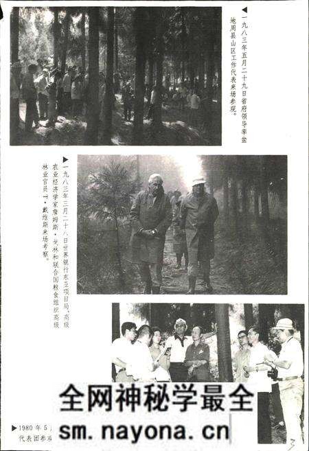 《洪雅林场志》.pdf电子版_四川省志预览图5 《洪雅林场志》.pdf电子版_四川省志预览图5