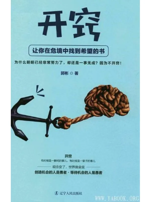 《开窍：让你在危境中找到希望的书》封面图片