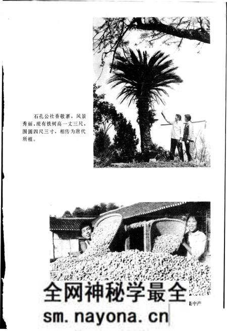 《四川省蓬安县地名录》.pdf电子版_四川省志预览图5 《四川省蓬安县地名录》.pdf电子版_四川省志预览图5