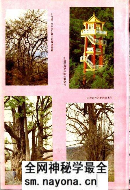 《甘孜藏族自治州林业志》.pdf电子版_四川省志预览图5 《甘孜藏族自治州林业志》.pdf电子版_四川省志预览图5