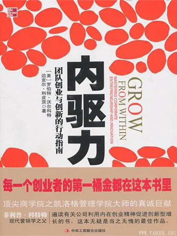 《内驱力：团队创业与创新的行动指南》封面图片