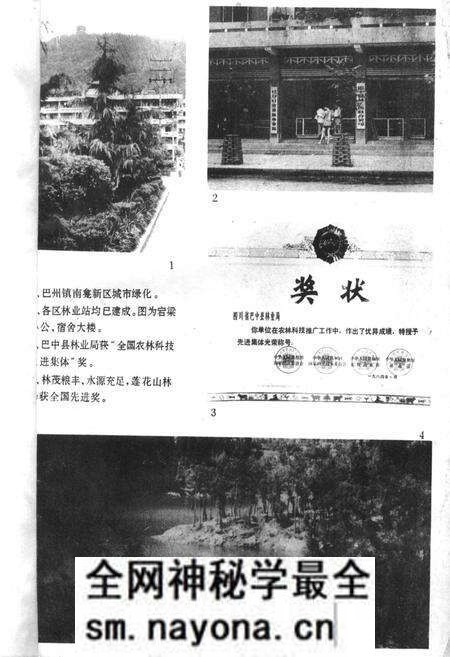 《巴中县林业志》.pdf电子版_四川省志预览图3 《巴中县林业志》.pdf电子版_四川省志预览图3