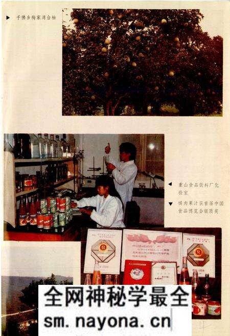 《井研县志》.pdf电子版_四川省志预览图4 《井研县志》.pdf电子版_四川省志预览图4
