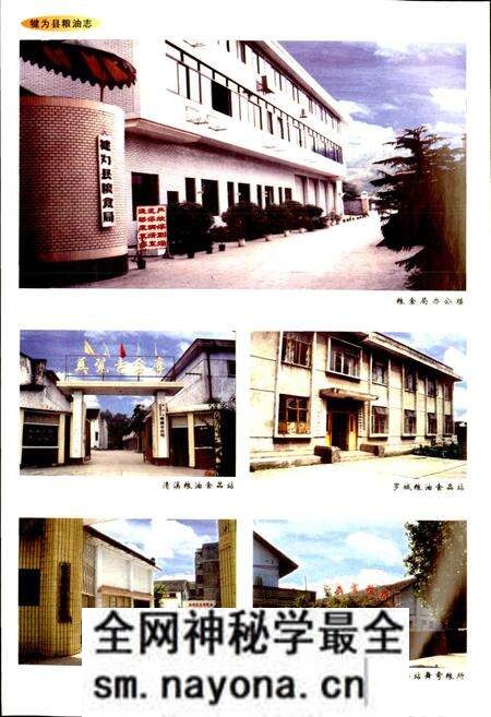 《犍为县粮油志》.pdf电子版_四川省志预览图5 《犍为县粮油志》.pdf电子版_四川省志预览图5