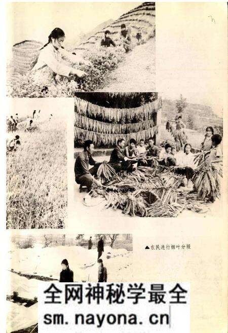 《开江县志》.pdf电子版_四川省志预览图5 《开江县志》.pdf电子版_四川省志预览图5