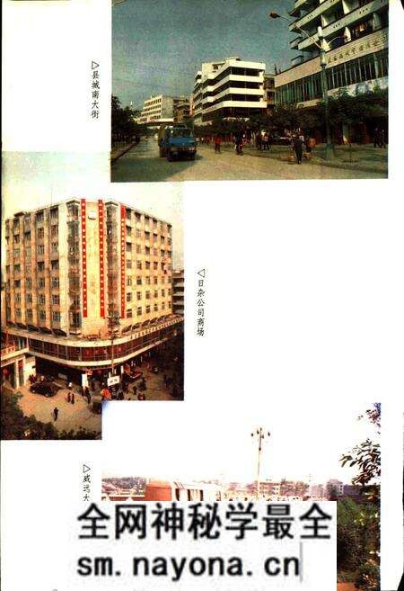《威远县志》.pdf电子版_四川省志预览图5