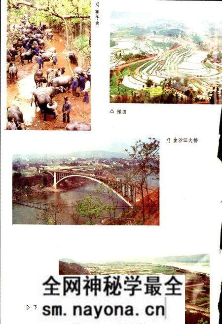 《宜宾县志》.pdf电子版_四川省志预览图4 《宜宾县志》.pdf电子版_四川省志预览图4