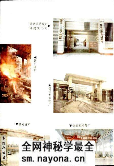 《严陵镇志》.pdf电子版_四川省志预览图4 《严陵镇志》.pdf电子版_四川省志预览图4