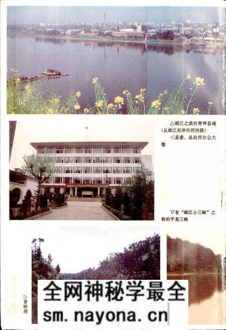 《青神县志》.pdf电子版_四川省志预览图4 《青神县志》.pdf电子版_四川省志预览图4
