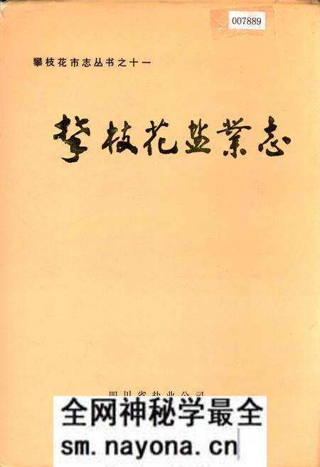 《攀枝花盐业志》.pdf电子版_四川省志预览图 《攀枝花盐业志》.pdf电子版_四川省志预览图