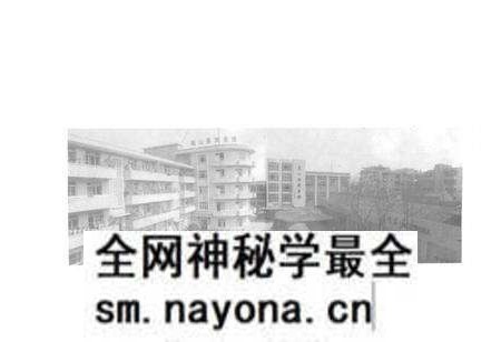 《眉山县文化志》.pdf电子版_四川省志预览图5 《眉山县文化志》.pdf电子版_四川省志预览图5
