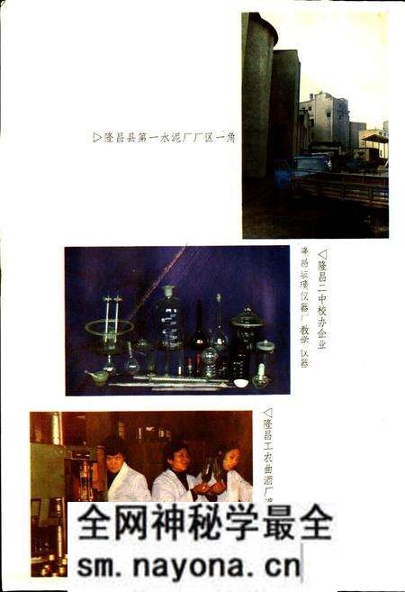 《隆昌县志》.pdf电子版_四川省志预览图5 《隆昌县志》.pdf电子版_四川省志预览图5