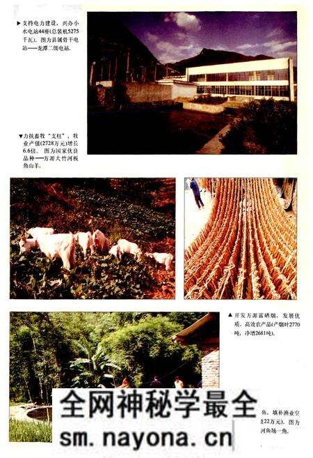 《万源县财政志》.pdf电子版_四川省志预览图4 《万源县财政志》.pdf电子版_四川省志预览图4