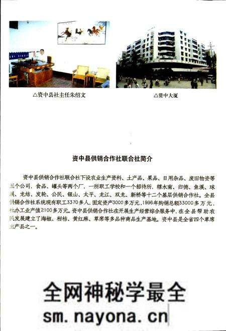 《内江地区供销合作志》.pdf电子版_四川省志预览图5