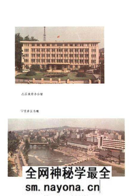 《自贡市贡井区志》.pdf电子版_四川省志预览图5 《自贡市贡井区志》.pdf电子版_四川省志预览图5