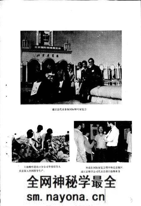 《通江县烟草志》.pdf电子版_四川省志预览图4 《通江县烟草志》.pdf电子版_四川省志预览图4