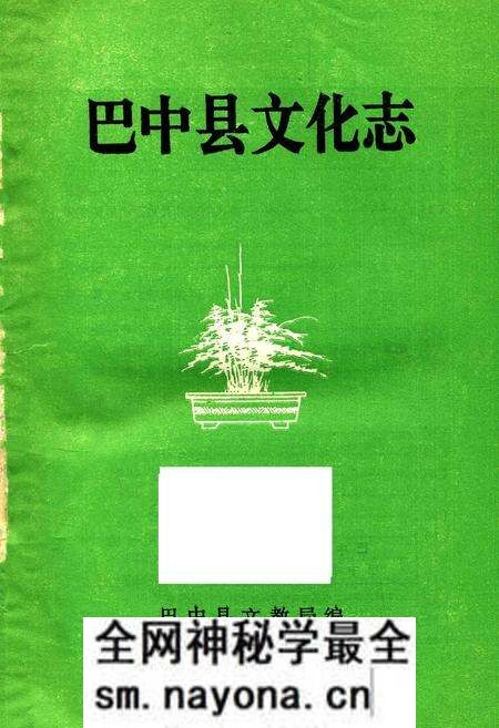 《巴中县文化志》.pdf电子版_四川省志预览图1 《巴中县文化志》.pdf电子版_四川省志预览图1