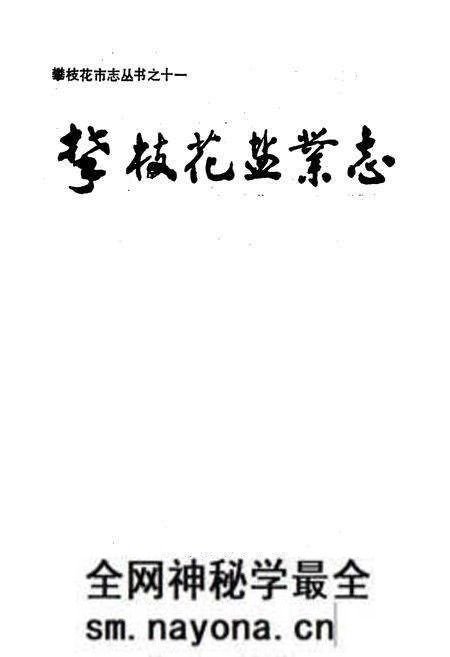《攀枝花盐业志》.pdf电子版_四川省志预览图1 《攀枝花盐业志》.pdf电子版_四川省志预览图1