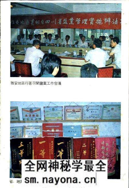 《雅安地区盐业志》.pdf电子版_四川省志预览图5